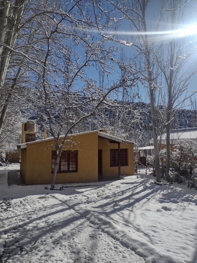 Cabana Pura Vida Потрерилос Екстериор снимка